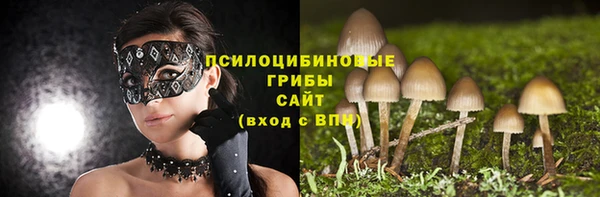 шишки Заволжск