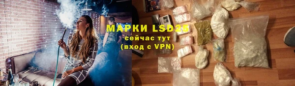 стафф Заводоуковск