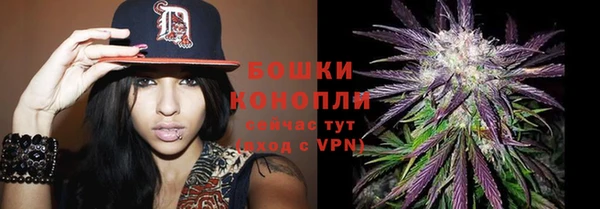 шишки Заволжск