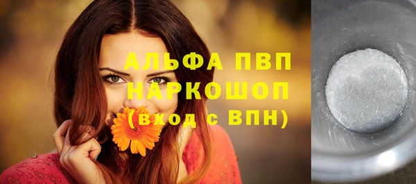стафф Заводоуковск