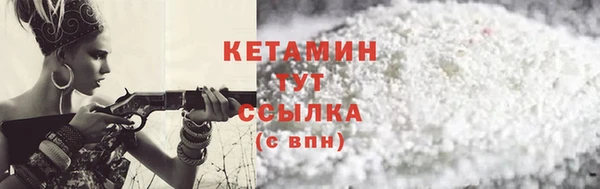 стафф Заводоуковск