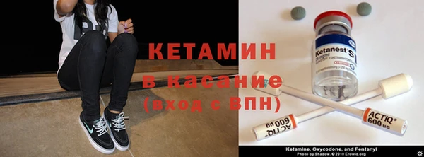 шишки Заволжск