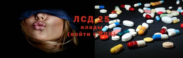 шишки Заволжск
