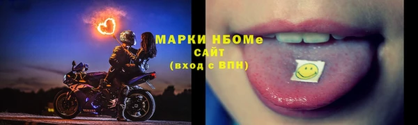 шишки Заволжск