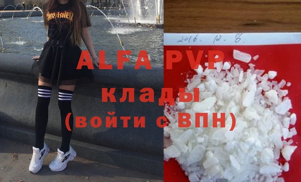 шишки Заволжск