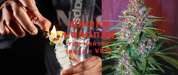 шишки Заволжск