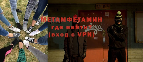 шишки Заволжск