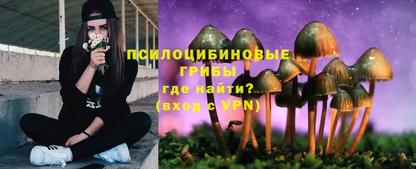 стафф Заводоуковск