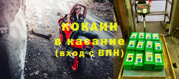 стафф Заводоуковск