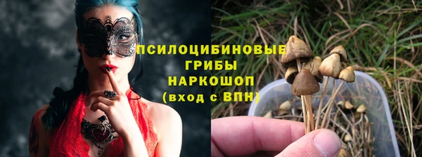стафф Заводоуковск