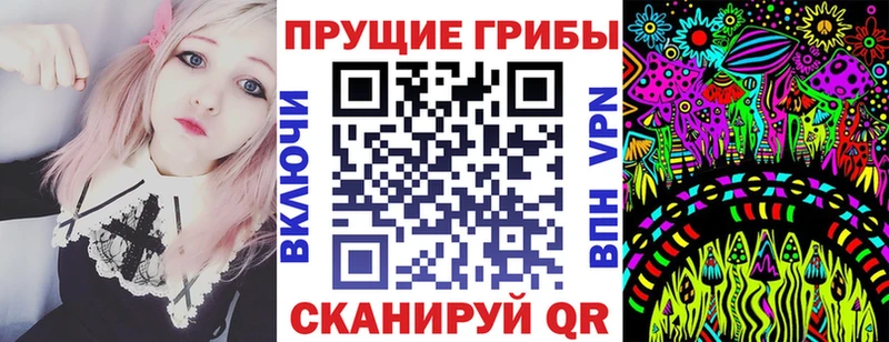 Купить где Кизилюрт Галлюциногенные грибы мицелий